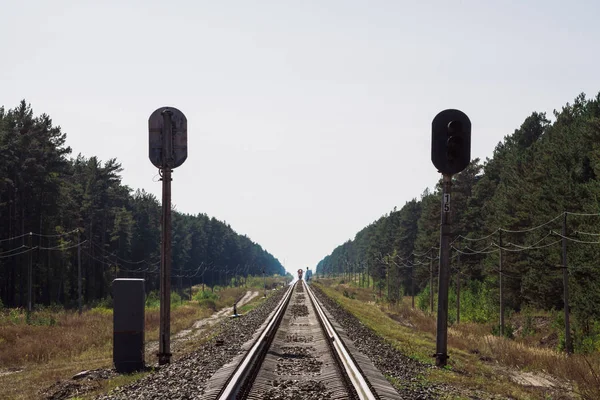 Mistik Tren Orman Boyunca Demiryolu Ile Seyahat Eder Demiryolu Trafik — Stok fotoğraf
