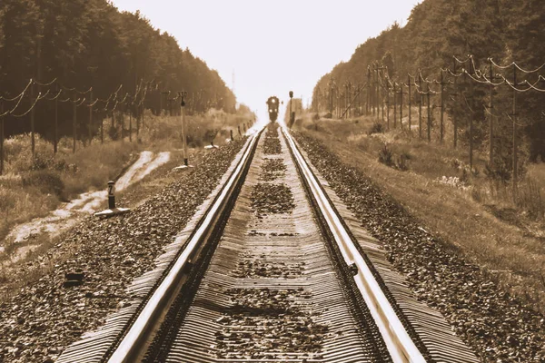 Mistyczny Pociąg Podróżuje Koleją Wzdłuż Lasu Odcieniach Sepii Światło Drogowe — Zdjęcie stockowe