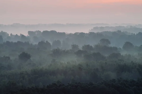 Mystieke Uitzicht Vanaf Top Bos Onder Haze Vroege Ochtend Griezelige — Stockfoto