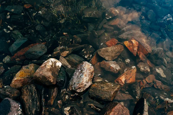 Plantes Pierres Sur Fond Lac Montagne Avec Eau Propre Gros — Photo