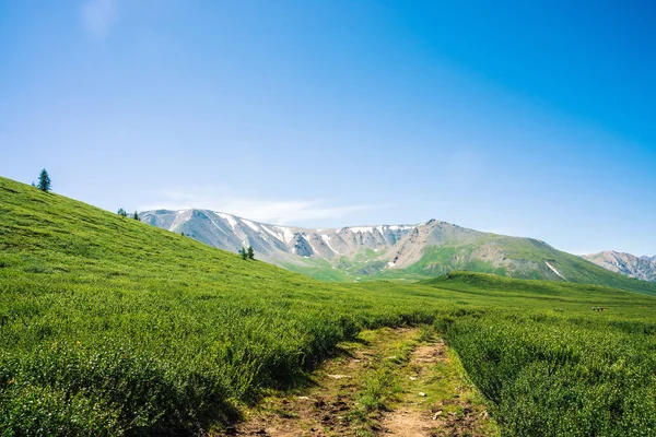 Path to giant mountains with snow across green valley under clear blue sky. Meadow with rich vegetation and lakes of highlands in sunlight. Amazing sunny mountain landscape of majestic nature.