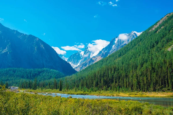 Mountain Creek Valley Beautiful Glacier Snowy Rocks Mountains Conifer Forest — Stock Photo, Image