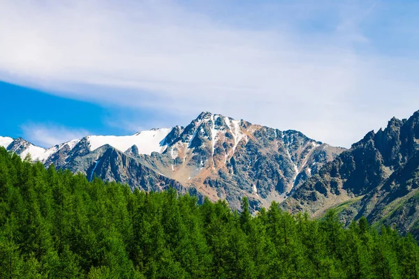 Snowy mountain top behind wooded hill under blue clear sky. Rocky ridge above coniferous forest. Atmospheric minimalistic landscape of majestic nature.