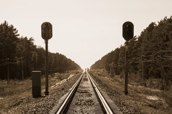 Mystic train travels by rail along forest in sepia tones. Railway traffic light and locomotive on railroad in distance. Mirage on railway track. Atmospheric landscape in monochrome.