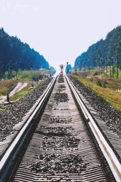 Mistyczny Pociąg Podróżuje Koleją Wzdłuż Lasu Światło Drogowe Lokomotywy Kolejowe — Zdjęcie stockowe
