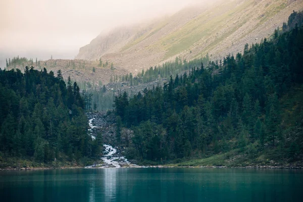 Foresta Spettrale Vicino Lago Montagna Mattino Presto Torrente Montagna Sfocia — Foto Stock