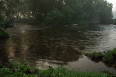Hızlı bir dağ nehri ağaçların arasında akar. Kıyıdaki kütükler. Kesilen ağaçlar. Sabah sisi.