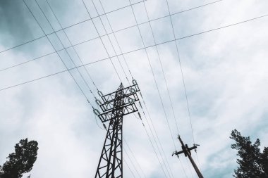 Bulutlu gökyüzü altında ağaçlar arasında yüksek gerilim güç hatları. Kopyalama alanı ile ormanda elektrik dağıtım kulesi. Bulutlu havalarda telleri ile kutuplarda aşağıdan minimalist görünüm.