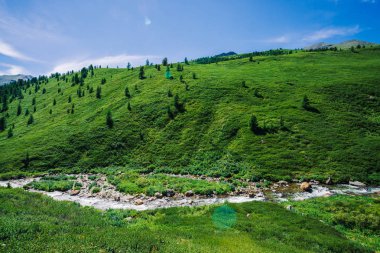 Güneşli bir günde yayla zengin bitki örtüsü arasında yeşil vadide Dağ deresi. Mavi berrak gökyüzü altında buzulhızlı su akışı. Tepenin arkasında dev karlı dağlar. Görkemli doğanın canlı manzarası.