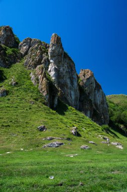 Kayalık dağlar yeşilliklerle kaplı.