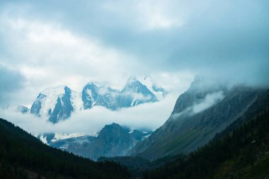 Büyük buzuldan önce düşük bulut. Bulutlu gökyüzü altında dev karlı kayalık dağlar. Sabahın erken saatlerinde ormanın üzerindeki dağlarda yoğun sis. Aşılmaz sis. Karanlık atmosferik manzara. Sakin atmosfer.