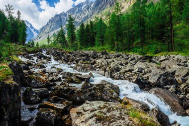 Vahşi dağ deresindeki buzuldan büyük ıslak taşlarla harika bir hızlı su akıntısı. Arka planda karlı dağlar ve ormanlı muhteşem manzaralar. İskoçya 'nın atmosferik manzarası.