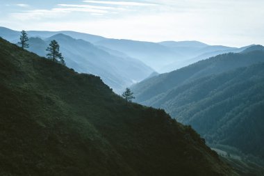 Arka aydınlatma da ufukta dağ yamaçları siluetleri arasında vadi üzerinde Sabah sis. Bulutlu gökyüzünde mavi parıltı. Dağ yamacındaki orman. Görkemli doğanın atmosferik dağ manzarası.
