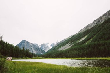 Küçük dağ gölünün arkasındaki harika karlı dağlar ve zengin bitki örtüsü arasında parlak su. Nehir buzuldan akar. Tepede beyaz kar var. Dağlık doğanın şaşırtıcı atmosferik manzarası.