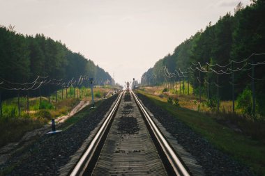 Mistik tren orman boyunca demiryolu ile seyahat eder. Demiryolu trafik ışığı ve lokomotif uzakta demiryolu üzerinde. Demiryolu nda Serap. Atmosferik manzara.