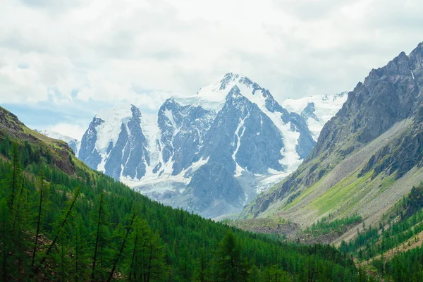 Вид Чудовий Льодовик Хвойним Лісом Гігантський Дивовижний Сніговий Гірський Хребет — стокове фото
