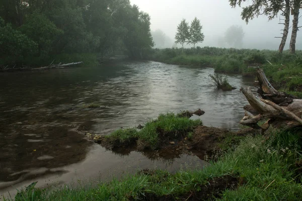Río Rápido Montaña Fluye Entre Los Árboles Troncos Orilla Los —  Fotos de Stock