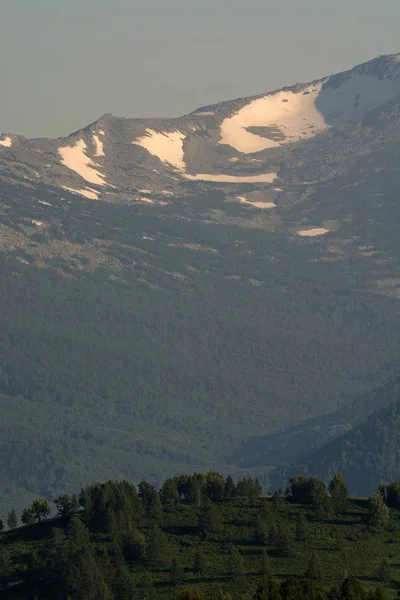 Nieve Cima Montaña Ausencia Total Vegetación Hora Tarde —  Fotos de Stock