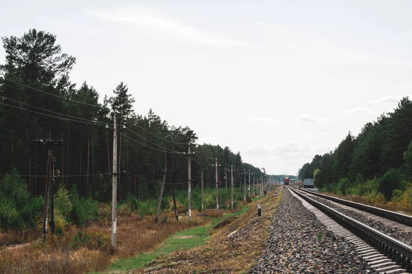 Demiryolu Vagonu Ormanda Raylardan Geçiyor Raylar Boyunca Telleri Olan Direkler — Stok fotoğraf