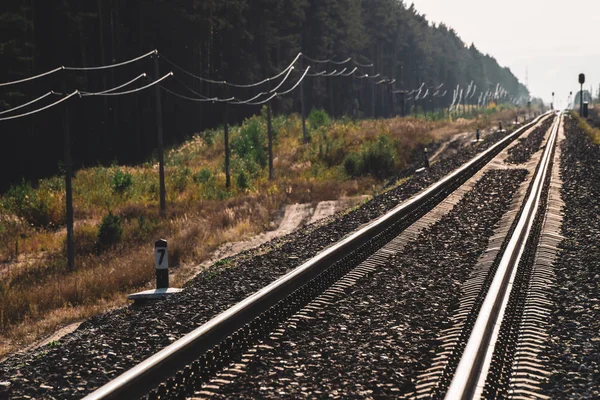 Railway traveling in perspective across forest. Journey on rail track. Poles with wires along rails in sunlight. Atmospheric landscape with railroad along bushes and trees with copy space.