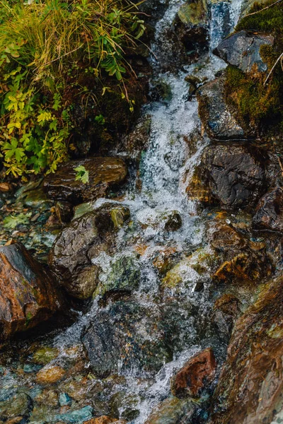 Small waterfall from rock close-up. Spring water on mountainside. Green leaves, plants. Rich flora of highlands. Amazing natural background with mountain stream. Colorful stones, beautiful vegetation.