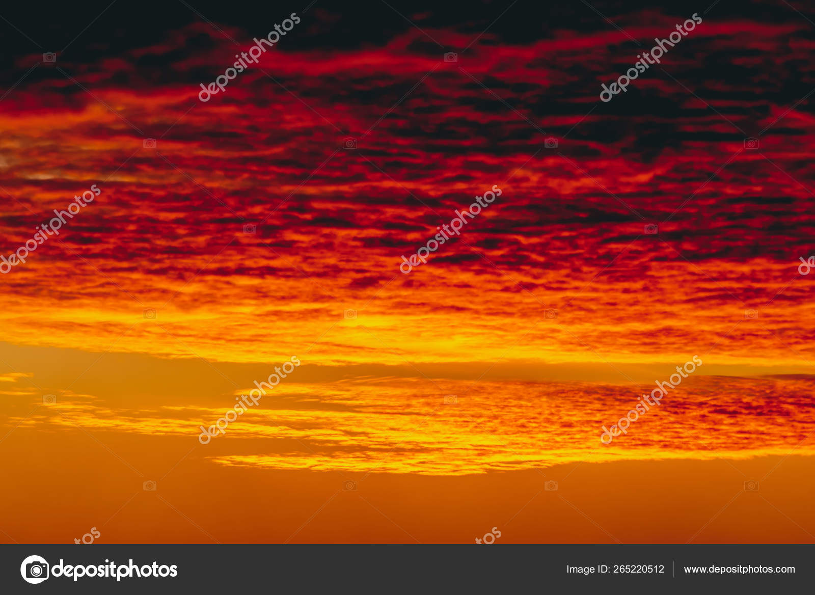 Vampire Dawn Download Vampire Dawn Download