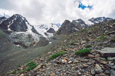 Bulutlu mavi gökyüzü altında karlı dev dağ sırası. Kar lı kayalık sırt. Büyük bir buzul. Su akıntıları ile buzlu dağ. Yaylaların zengin bitki örtüsü. Doğanın atmosferik minimalist manzara.