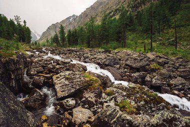 Vahşi dağ deresindeki buzuldan büyük ıslak taşlarla harika bir hızlı su akıntısı. Arka planda karlı dağlar ve ormanlı muhteşem manzaralar. İskoçya 'nın atmosferik manzarası.