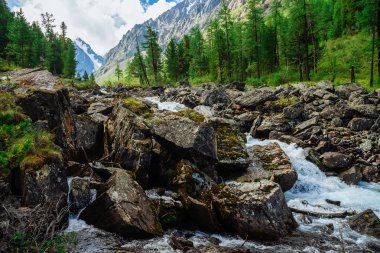 Vahşi dağ deresindeki buzuldan büyük ıslak taşlarla harika bir hızlı su akıntısı. Arka planda karlı dağlar ve ormanlı muhteşem manzaralar. İskoçya 'nın atmosferik manzarası.