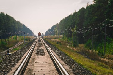 Mistik tren orman boyunca demiryolu ile seyahat eder. Demiryolu trafik ışığı ve lokomotif uzakta demiryolu üzerinde. Demiryolu nda Serap. Atmosferik manzara.