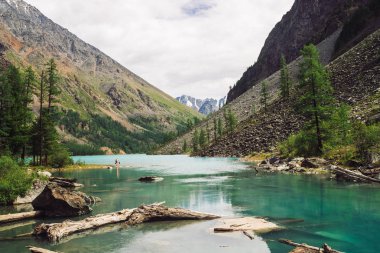 Kuru kütükler dağlık bitki örtüsü ile dev dağların arka plan üzerinde dağ gölünün suyüz. İnanılmaz karlı dağ. Güzel bir buzul. Görkemli doğanın harika atmosferik manzara.