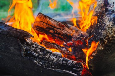 Yanan kütükler canlı ateşte yakılır. Kamp ateşi turuncu alev ile atmosferik arka plan. Kopya alanı ile içeriden şenlik ateşi hayal edilemez ayrıntılı görüntü. Havada duman ve parlayan közler.