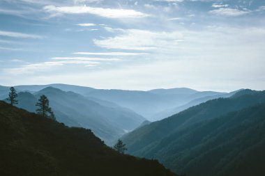Arka aydınlatma da ufukta dağ yamaçları siluetleri arasında vadi üzerinde Sabah sis. Bulutlu gökyüzünde mavi parıltı. Dağ yamacındaki orman. Görkemli doğanın atmosferik dağ manzarası.