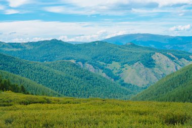 Bulutlu mavi gökyüzü altında orman örtüsü ile dev dağların çayır muhteşem görünümü. Harika vahşi orman manzarası. Yayla doğasının atmosferik manzarası. Doğal minimalist dağ manzarası.
