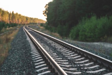 Kopya alanı ile çalılar ve ağaçlar yakınında diyagonal demiryolu bulanık arka plan. Yeşillikler arasında seyahat eden demiryolu yakın. Raylı yolda güneş ışığına yolculuk. Mavi tonlarda bulanık desen.