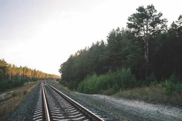 Järnvägen Färdas Perspektiv Över Skogen Resa Järnvägsspåret Stolpar Med Ledningar — Stockfoto