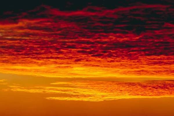 불타는 뱀파이어 놀라운 따뜻한 극적인 하늘입니다 선명한 오렌지 날씨에 일출의 — 스톡 사진