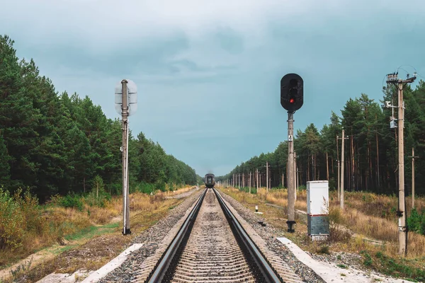 Demiryolu Vagonu Ormanda Raylardan Geçiyor Raylar Boyunca Telleri Olan Direkler — Stok fotoğraf