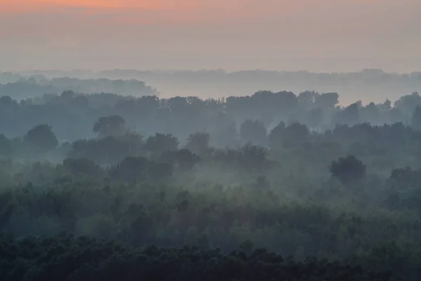 Mystieke Uitzicht Vanaf Top Bos Onder Haze Vroege Ochtend Nevel — Stockfoto