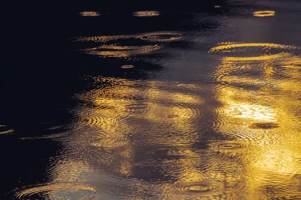 Niesamowite Naturalne Tło Złotymi Kręgach Deszczowych Spokojny Pofalowanych Powierzchni Wody — Zdjęcie stockowe