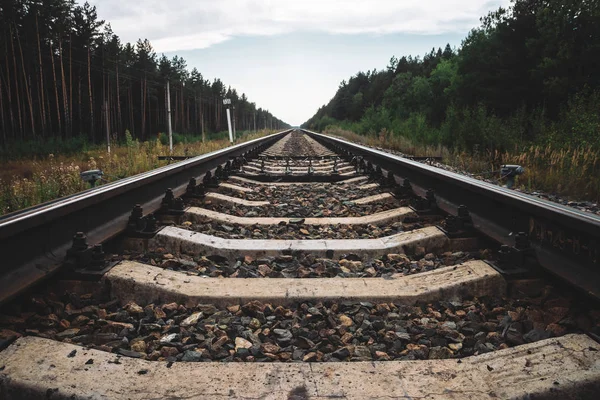 Demiryolu Orman Boyunca Perspektif Seyahat Demiryolu Nda Yolculuk Raylar Boyunca — Stok fotoğraf
