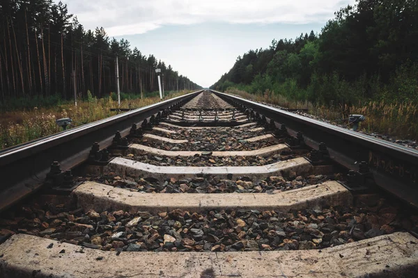 Jernbanen Reiser Perspektiv Skogen Reisen Sporet Staker Med Tråder Langs – stockfoto