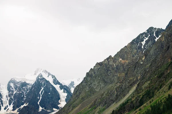 Verbazingwekkende Enorme Gletsjer Achter Conifer Bos Besneeuwde Bergketen Bewolkte Hemel — Stockfoto