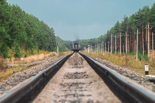 Järnvägsvagn Går Med Räls Skogen Stolpar Med Ledningar Längs Räls — Stockfoto