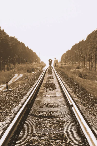 Trem Místico Viaja Trem Longo Floresta Tons Sépia Semáforo Ferroviário — Fotografia de Stock