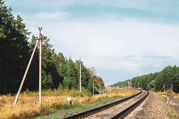 Demiryolu Boyunca Elektrik Hatları Güneş Işığında Raylar Boyunca Telleri Olan — Stok fotoğraf