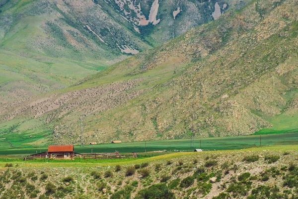 Dağın Eteklerinde Uçurumun Yakınında Kırmızı Çatılı Küçük Yalnız Köy Evi — Stok fotoğraf