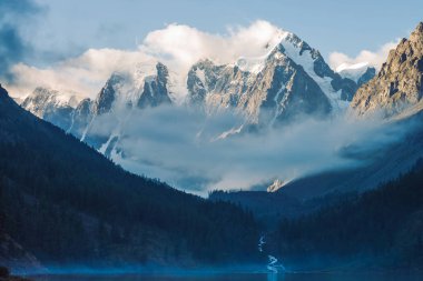 Sabahın erken saatlerinde dağ gölü nün yanındaki hayalet orman. Buzuldan gelen dağ deresi göle akar. Su yüzeyinde sis var. Kayaların arasında alçak bulut. Koyu atmosferik sisli ahşap manzara. Sakin atmosfer