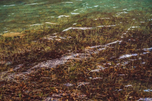Rośliny Dnie Jeziora Górskiego Czystą Wodą Fale Refleksje Gładkiej Powierzchni — Zdjęcie stockowe