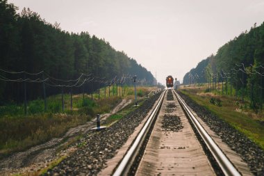 Mistik tren orman boyunca demiryolu ile seyahat eder. Demiryolu trafik ışığı ve lokomotif uzakta demiryolu üzerinde. Demiryolu nda Serap. Atmosferik manzara.